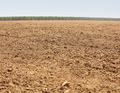 Agriculture field ready for sowing seeds - PhotoDune Item for Sale