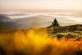 Morning fog in spring mountains - PhotoDune Item for Sale