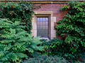 Prestigious University College Window - PhotoDune Item for Sale