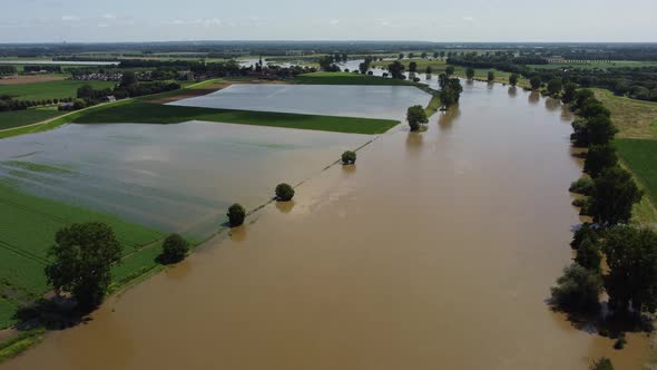 Floodplains and drowned trees at river Maas in the Netherlands, Aerial