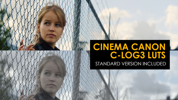 Cinema Canon C-Log3 And Standard Luts