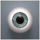 Human Eyeball - Blue - 3DOcean Item for Sale