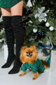 Christmas pet dog clothes color girl dress - PhotoDune Item for Sale