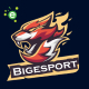 Bigesport - Esport & Gaming Team Elementor Template Kit - ThemeForest Item for Sale