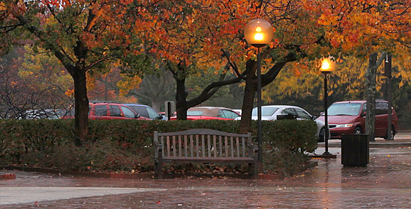 Autumn Rain 4
