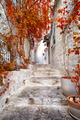 Narrow street with stone houses and autumn red foliage - PhotoDune Item for Sale