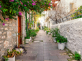 Narrow cobbled street with white and stone walls and flowers - PhotoDune Item for Sale