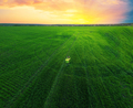 Photographer in green field with camera photographs sunset - PhotoDune Item for Sale