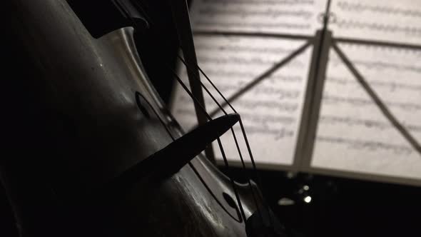 Close Up Playing the Cello