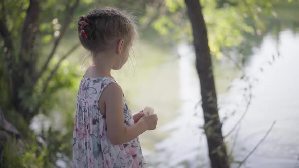 Little Girl Throw Bread Water Lake Feeding Fish And Ducks Summer Day