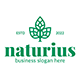 Three Leaves Logo - Naturius - GraphicRiver Item for Sale
