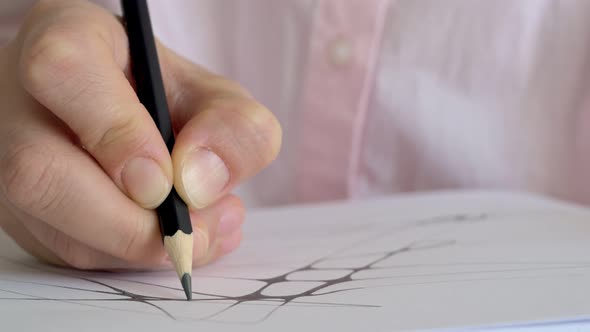 Closeup Hand with Fingers Holding a Black Pencil and Draws Lines on a Sheet of Paper Prepares a