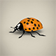 Ladybug - 3DOcean Item for Sale