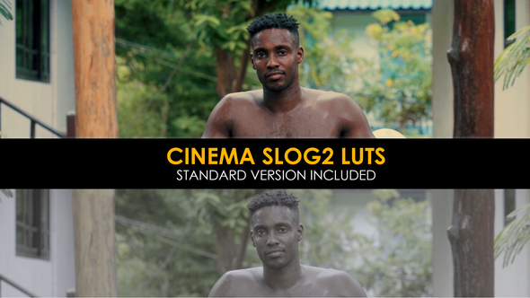 Cinema Slog2 and Standard Luts for Final Cut alt