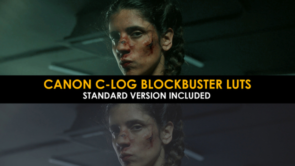 Canon C-Log Blockbuster and Standard Luts for Final Cut alt