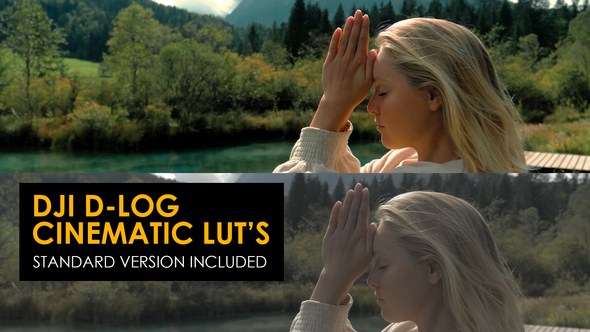 Cinematic DJI D-Log and Standard Luts for Final Cut alt