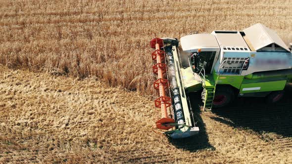 Golden Crops Field Is Being Harvested By Combines