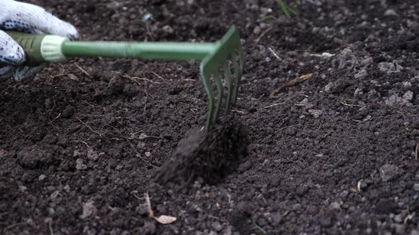 Unrecognizable Woman Chops the Soil with a Small Rake