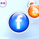 Social Network Icons - VideoHive Item for Sale