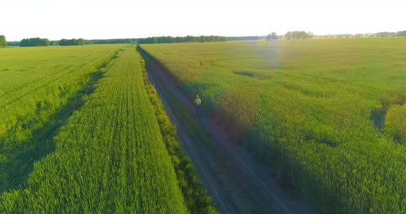 Aerial View on Young Boy, That Rides a Bicycle Thru a Wheat Grass Field on the Old Rural Road