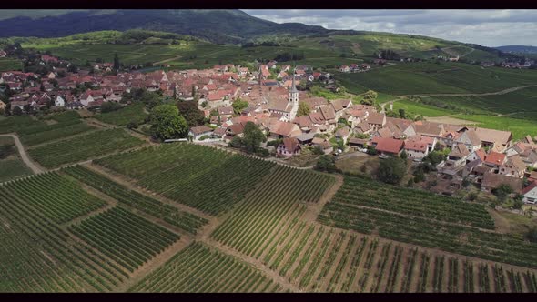 Mittelbergheim Alsace France Town Surrounded By Vineyards in Summer