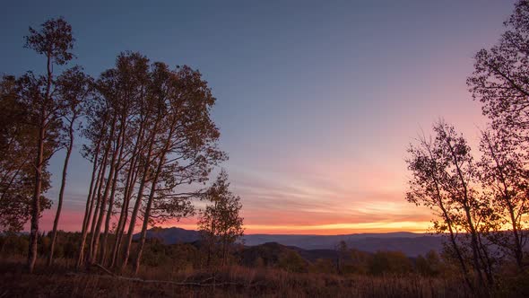 Sunrise time lapse looking past group of aspen trees