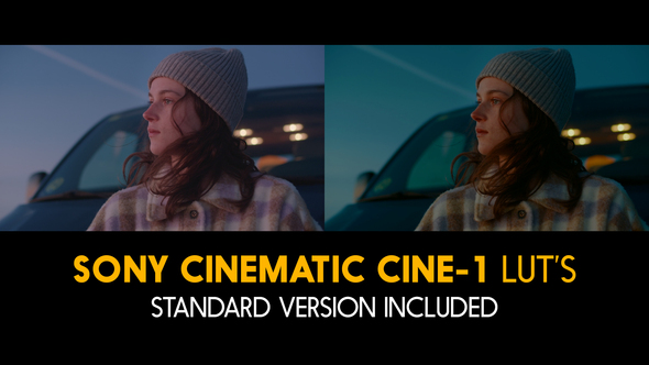 Sony Cinematic Cine-1 and Standard Luts for Final Cut alt