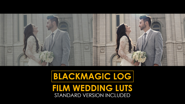 Blackmagic Film Wedding and Standard Luts for Final Cut