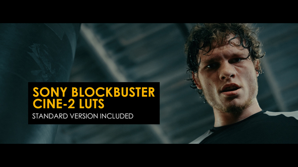 Sony Blockbuster Cine-2 and Standard LUTs for Final Cut alt