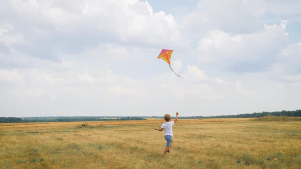 A Boy Playing with a Kite in the Meadow