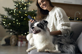 Woman with dog chilling at the sofa with mobile phone during the Christmas - PhotoDune Item for Sale