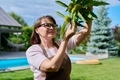 Woman touching chestnut fruit on a tree in garden - PhotoDune Item for Sale