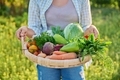 Portrait of smiling woman with basket of different fresh vegetables and herbs - PhotoDune Item for Sale
