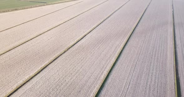 Brown Field Plots Near Green Rows in Autumn Aerial View