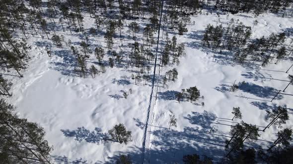 Aerial view to swamp at winter