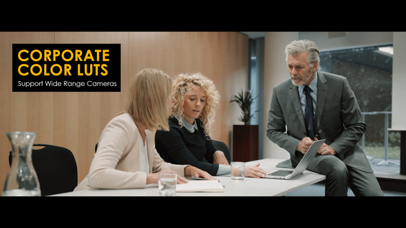 Corporate LUTs
