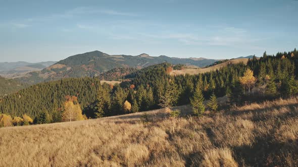 Burnt Grass at Mountain Hill Aerial