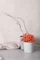 Autumn winter composition with tree branches and rowan. Fall mood still life in Scandinavian  - PhotoDune Item for Sale