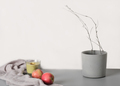 Aesthetic minimal hygge interior design concept. apples and tree branch on a grey background. . - PhotoDune Item for Sale