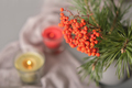 ashberry or rowan berry branch and pine needles and glowing candles. thanksgiving house decor - PhotoDune Item for Sale