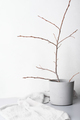 tree branch in a cement vase next to grey soft fabric textile, grey minimal style still life.  - PhotoDune Item for Sale