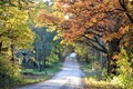 Dirt country road in the Fall with colorful trees - PhotoDune Item for Sale