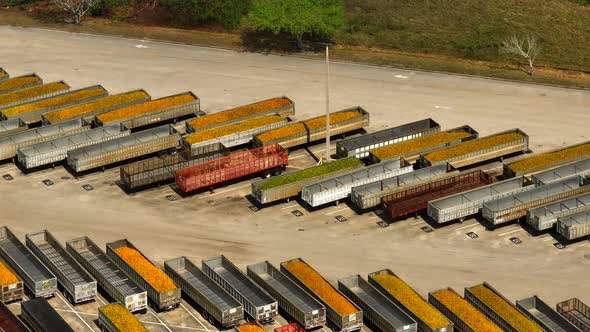 Orange Truck Transport Florida Tropicana Plant Fort Pierce Fl