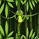 Jungle Ambience - AudioJungle Item for Sale