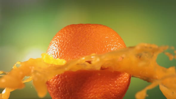 Fresh Orange Fruit Squirting and Burst with Juice in Slow Motion in Green Nature Background
