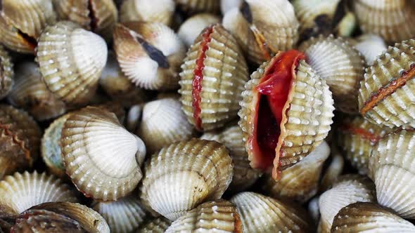 Cockle fresh, sold in the market.