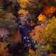 Autumn Stock Footage - Best Autumn Videos Footage 29 - VideoHive Item for Sale