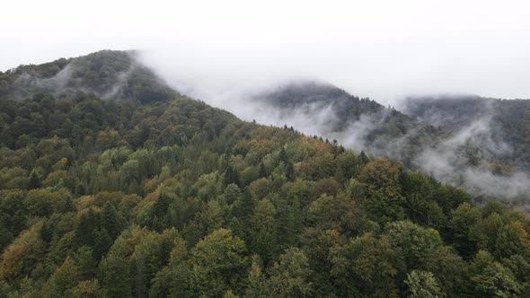 Mountains in Fog Slow Motion. Aerial View of the Carpathian Mountains in Autumn. Ukraine