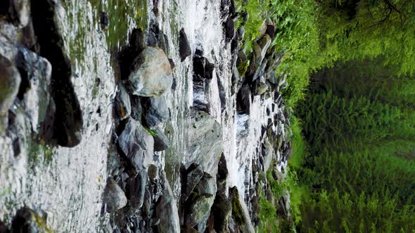 Water Clear Stream River Flowing in the Deep Forest Slow Motion