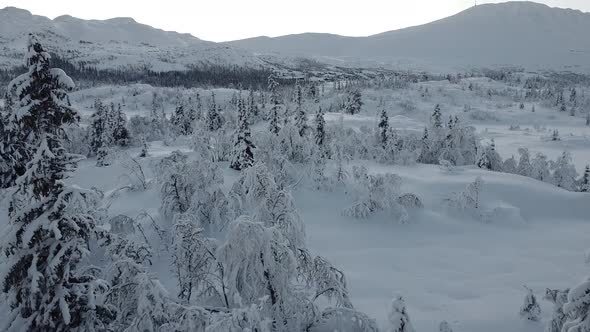 Mountains in winter